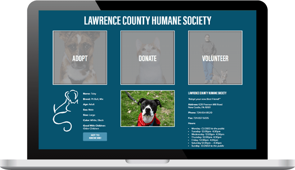 Lawrence County Humane Society - Case Study